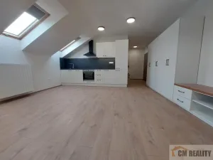 Pronájem bytu 1+kk, Olomouc - Hodolany, Holická, 38 m2