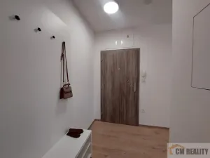 Pronájem bytu 1+kk, Olomouc - Hodolany, Holická, 38 m2