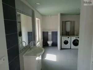 Prodej rodinného domu, Lužice, 233 m2