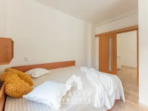 Prodej bytu 1+1, Letovice, Nová, 35 m2