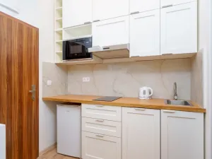 Pronájem bytu 1+kk, Praha - Nové Město, Ječná, 30 m2