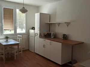 Pronájem bytu 1+1, Rokycany - Nové Město, Javorová, 39 m2