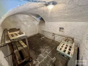 Prodej vícegeneračního domu, Broumov, třída Masarykova, 250 m2