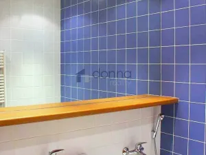 Pronájem bytu 3+kk, Praha, Klapkova, 90 m2