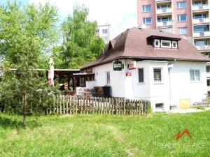 Pronájem bytu 1+kk, Děčín - Děčín VI-Letná, Želenická, 25 m2