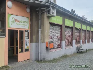 Prodej bytu 2+1, Praha - Břevnov, U páté baterie, 62 m2