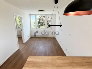 Pronájem bytu 2+kk, Praha, Mezipolí, 48 m2