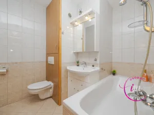 Pronájem bytu 1+1, Jihlava, Březinova, 36 m2