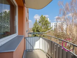 Pronájem bytu 1+1, Jihlava, Březinova, 36 m2