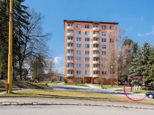 Pronájem bytu 1+1, Jihlava, Březinova, 36 m2