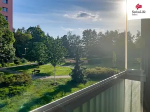 Pronájem bytu 3+1, Pardubice - Bílé Předměstí, Na Drážce, 65 m2