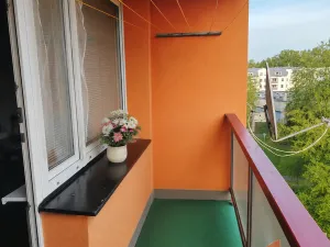 Prodej bytu 1+kk, Pardubice, Lidická, 36 m2