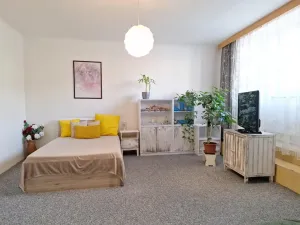 Prodej rodinného domu, Rousínov, Sušilovo náměstí, 175 m2