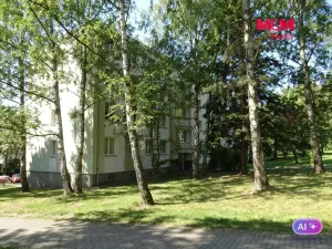 Prodej bytu 2+1, Orlová - Lutyně, Vojtěcha Martínka, 53 m2