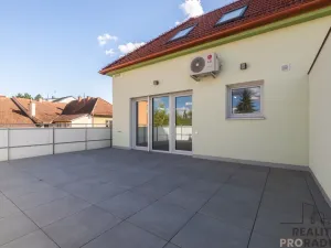 Prodej bytu 4+kk, Brno, Točná, 170 m2