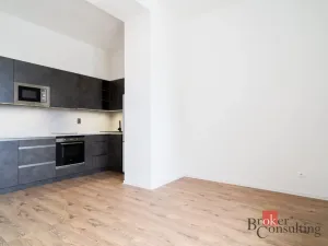 Prodej bytu 1+kk, Ostrava - Přívoz, Palackého, 25 m2