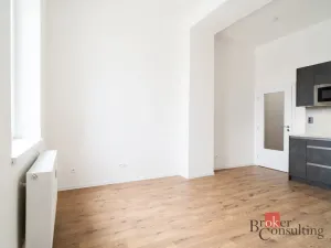 Prodej bytu 1+kk, Ostrava - Přívoz, Palackého, 25 m2