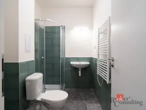 Prodej bytu 1+kk, Ostrava - Přívoz, Palackého, 25 m2
