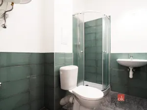 Prodej bytu 1+kk, Ostrava - Přívoz, Palackého, 25 m2