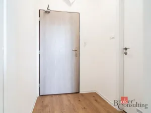 Prodej bytu 1+kk, Ostrava - Přívoz, Palackého, 25 m2