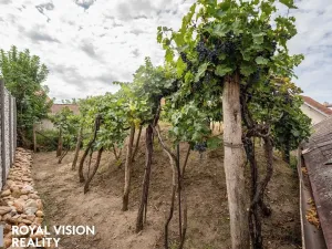 Prodej vinného sklepa, Březí, 76 m2