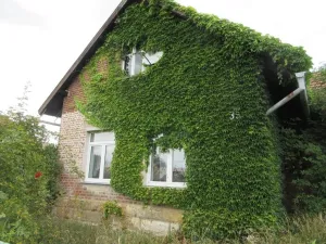 Dražba rodinného domu, Židovice, 152 m2