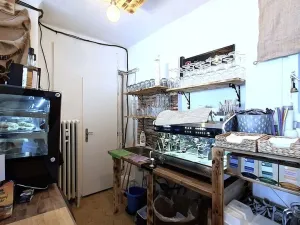 Prodej komerční nemovitosti, Praha - Vinohrady, Vinohradská, 30 m2