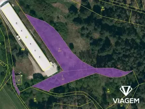Prodej podílu lesa, Pyšel, 1132 m2