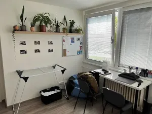 Pronájem bytu 1+1, Hradec Králové, Hradecká, 30 m2