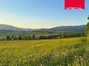 Prodej pozemku pro bydlení, Mladé Buky, 115000 m2