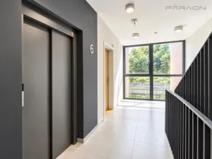 Pronájem bytu 2+kk, Praha - Karlín, Švarcova, 56 m2