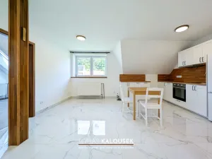 Pronájem bytu 3+kk, Oslavany, Růžová, 50 m2