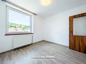 Pronájem bytu 3+kk, Oslavany, Růžová, 50 m2
