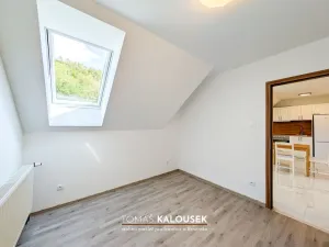 Pronájem bytu 3+kk, Oslavany, Růžová, 50 m2
