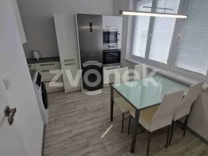 Pronájem bytu 2+1, Staré Město, Kopánky, 55 m2