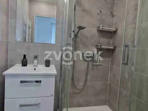 Pronájem bytu 2+1, Staré Město, Kopánky, 55 m2