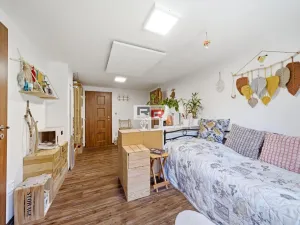 Prodej rodinného domu, Olomouc - Slavonín, Dykova, 289 m2