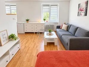 Prodej bytu 1+kk, Ostrava - Zábřeh, Čujkovova, 28 m2