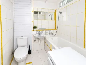 Prodej bytu 1+kk, Ostrava - Zábřeh, Čujkovova, 28 m2