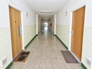 Prodej bytu 1+kk, Ostrava - Zábřeh, Čujkovova, 28 m2