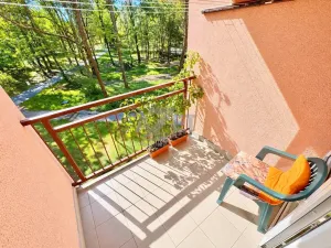 Prodej bytu 1+kk, Ostrava - Zábřeh, Čujkovova, 28 m2