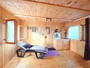 Prodej zahrady, Litvínovice - Šindlovy Dvory, 401 m2