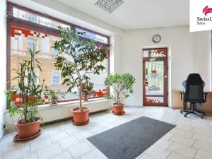 Prodej činžovního domu, Plzeň - Jižní Předměstí, Husova, 418 m2