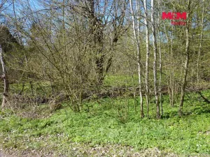 Prodej pozemku pro bydlení, Brzice, 1453 m2