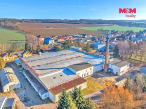Prodej výrobních prostor, Miletín, Lhotova, 22000 m2