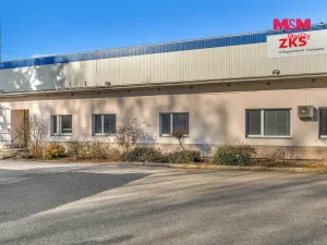 Prodej výrobních prostor, Miletín, Lhotova, 22000 m2