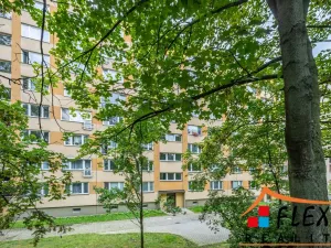 Pronájem bytu 2+1, Ostrava - Slezská Ostrava, Bohumínská, 55 m2