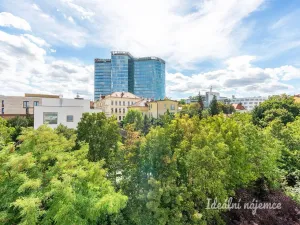 Pronájem bytu 2+kk, Praha - Michle, Ohradní, 42 m2