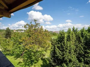 Prodej chaty, Brno, 40 m2
