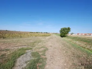 Prodej pozemku pro bydlení, Velké Němčice, 580 m2
